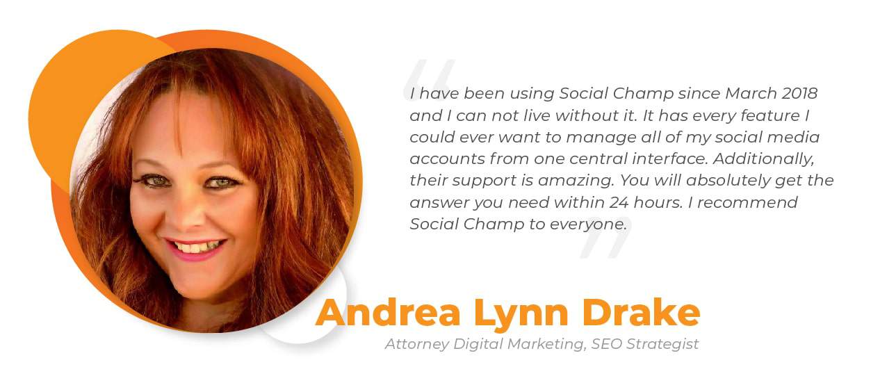 Social Champ Annual Review 2019 in Spotlight 13 customers feedback 2019