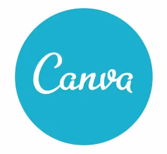 How to use Instagram Filters to create TikTok Videos? 8 Canva - App to make Instagram Edits