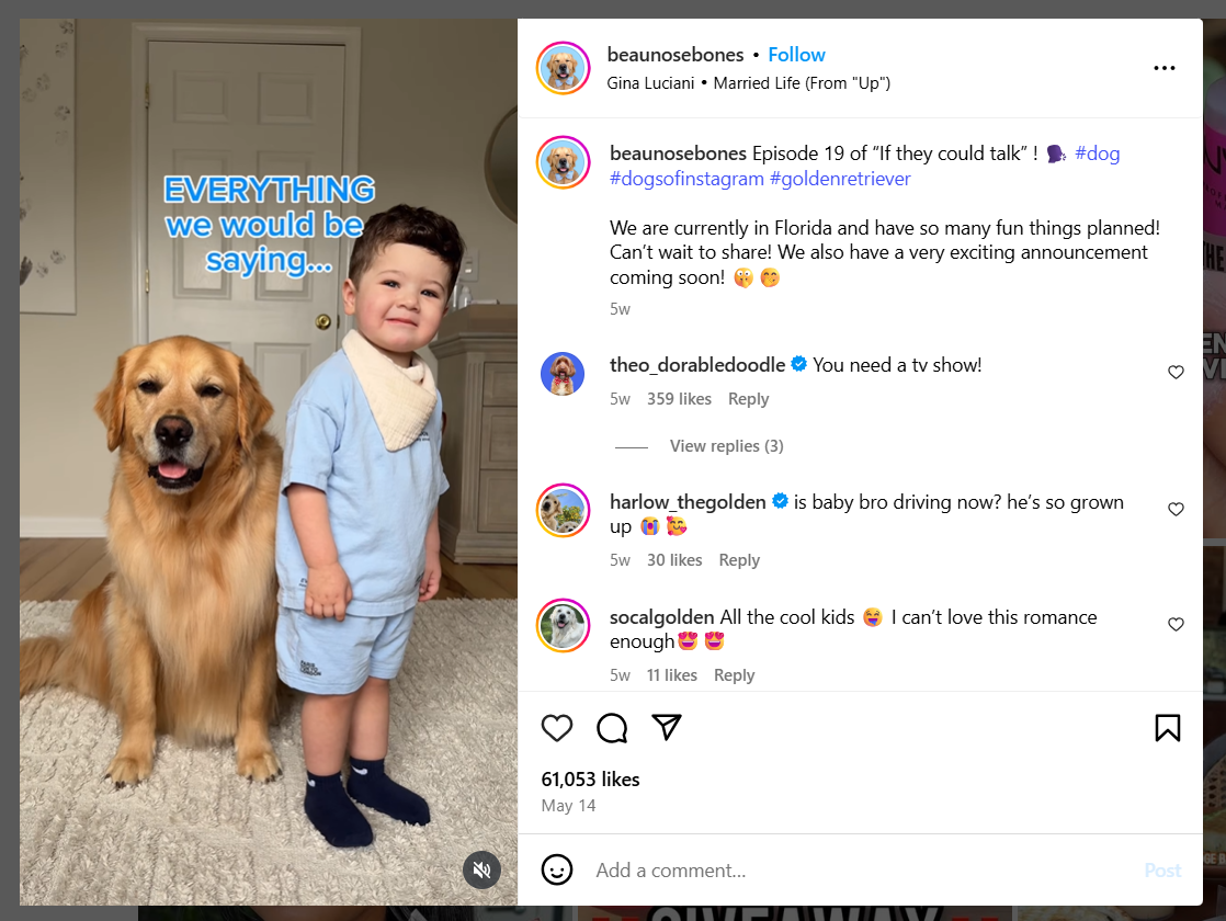Instagram Post With Text Overlay