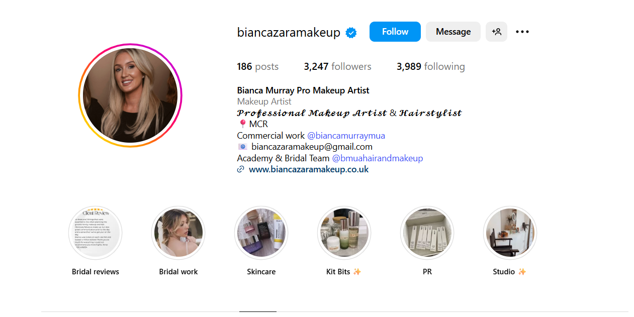 Instagram Profile and Bio Example