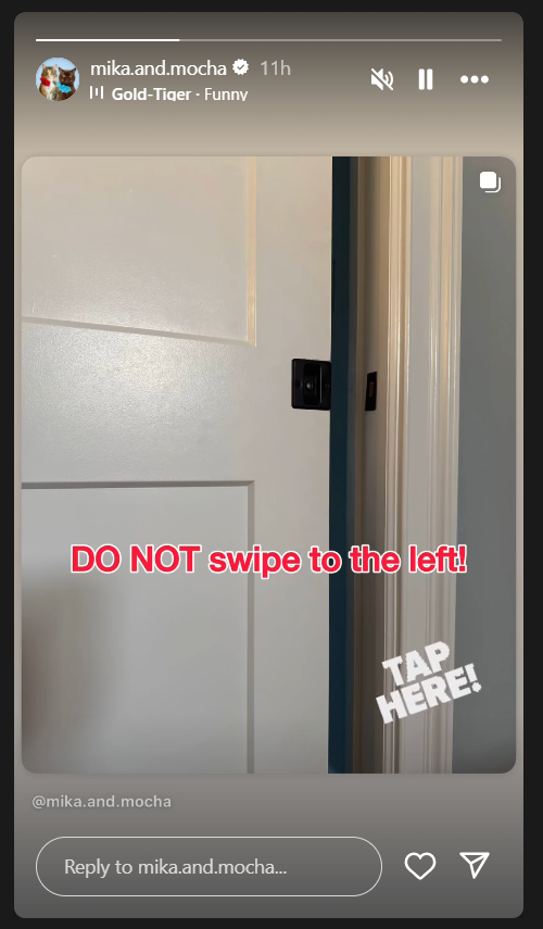 Instagram Story With Visual Cues
