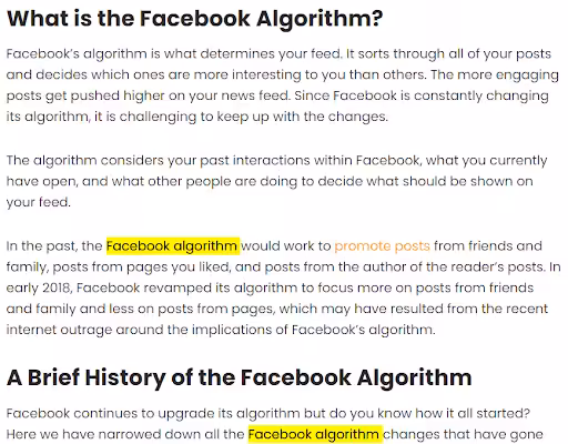 How Social Champ Ranks Higher on Search Engine 13 keywords