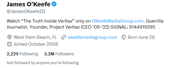 Example of Twitter/X Link in Bio