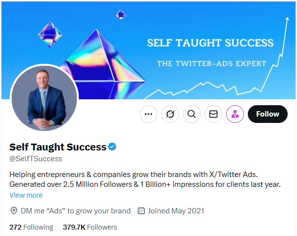 Example of Twitter/X Profile