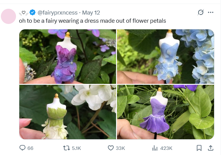 snapshot of text+visual tweet