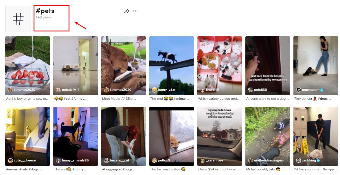 25 TikTok Tips & Tricks You Need to Know in 2026 8 Pets videos