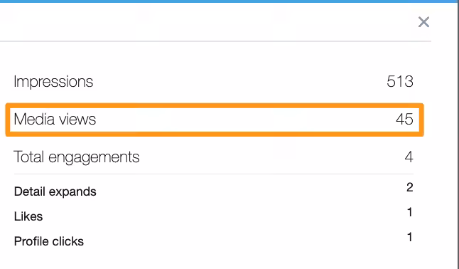 Twitter Analytics Guide: Essential Metrics for Data-Driven Growth 13 Media Views