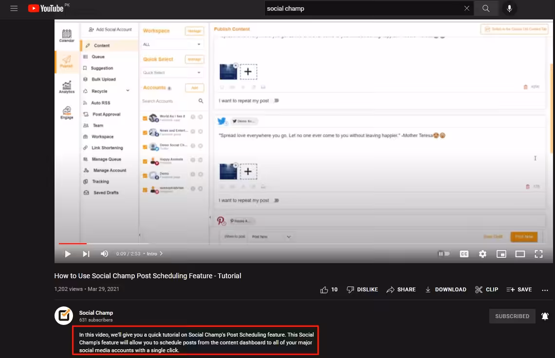 Social Champ's Video Description