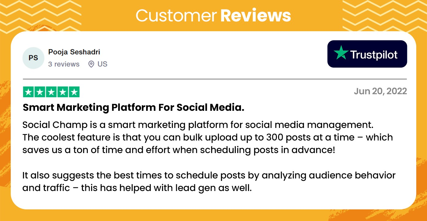 Year In A Review 2022 - An Annual Spotlight 8 customer review for Social Champ