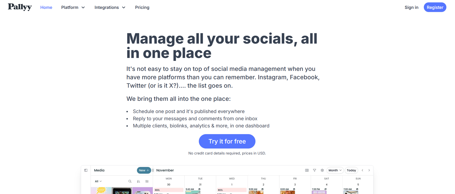 Pally Landing Page