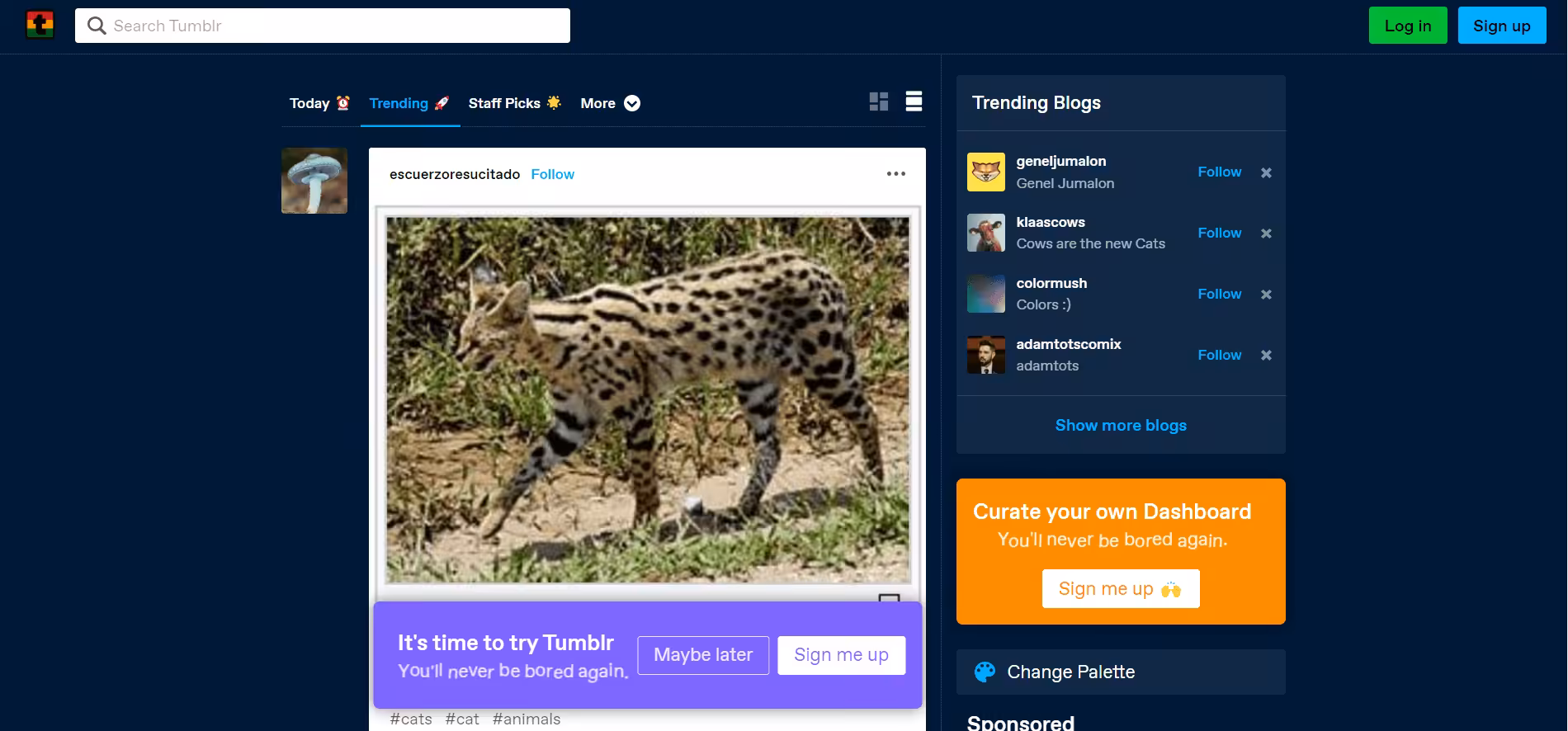 10+ Twitter Alternatives Social Media Fans Are Using in 2026 10 Tumblr