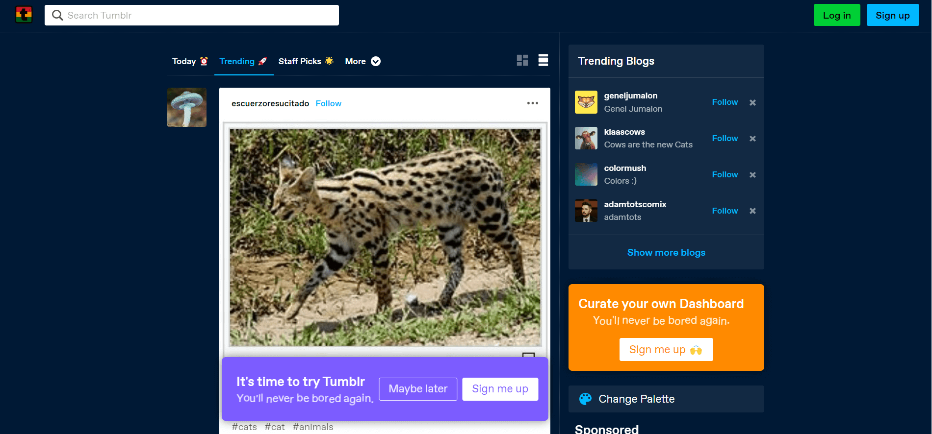 10+ Twitter Alternatives Social Media Fans Are Using in 2026 10 Tumblr