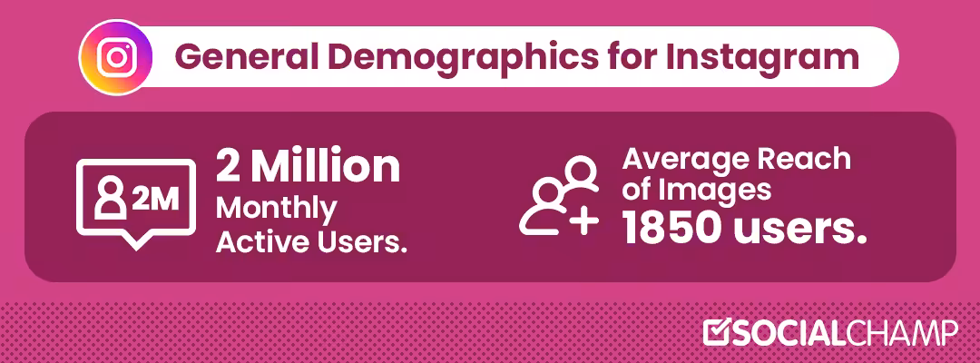 Social Media Demographics to Form a Powerful Business Strategy in 2026 6 Insta-Demographics