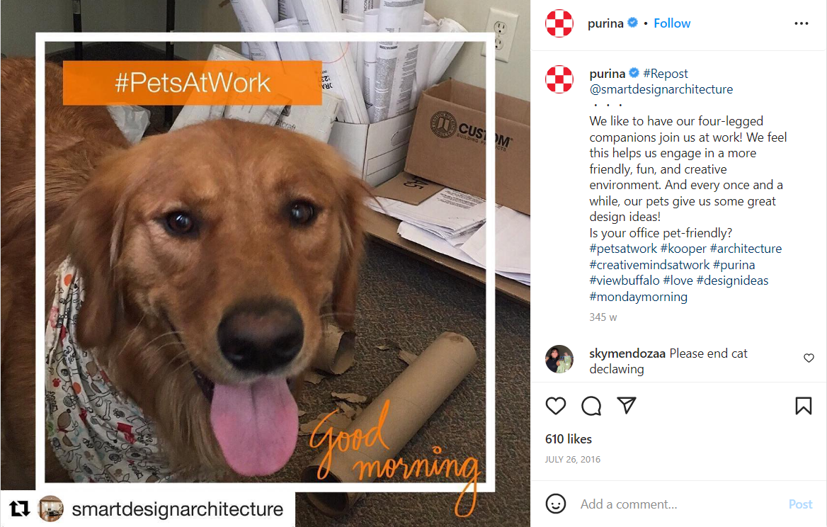 Hashtag Campaigns: How to Amplify Your Brand’s Reach in 2025 12 Pets at Work Campaign
