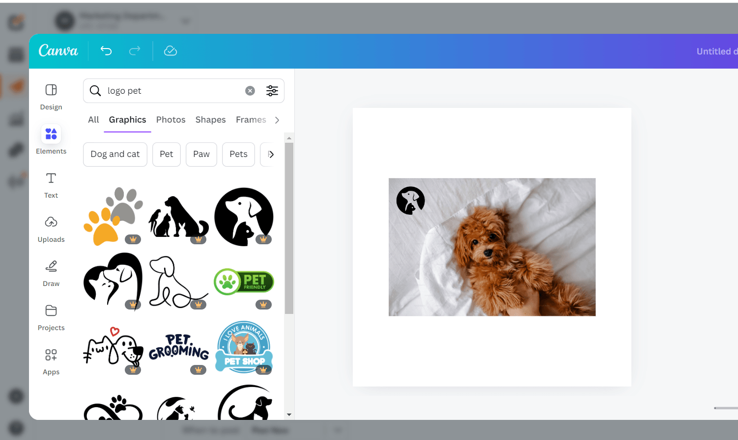 Design Your Instagram Grid Like a Pro in 2026: Tips, Tools, & Ideas 9 Editing image with Social Champ's Canva integration