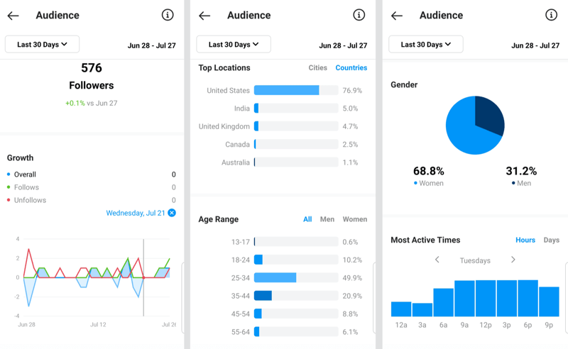 instagram audience insight