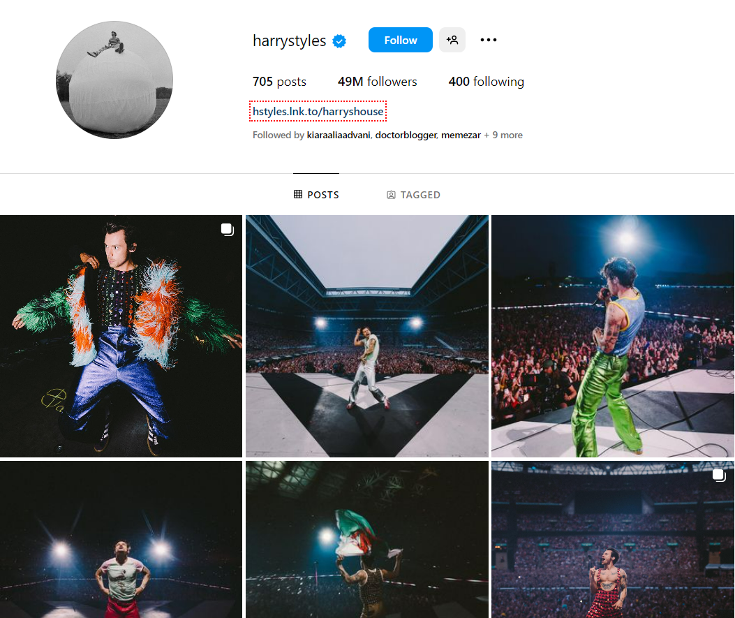 100+ Instagram Bio Ideas With Tips & Tricks in 2026 12 harry styles