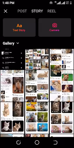How to Add Music to Instagram Posts in Easy Steps 2026 7 Instagram’s Music Sticker step 2
