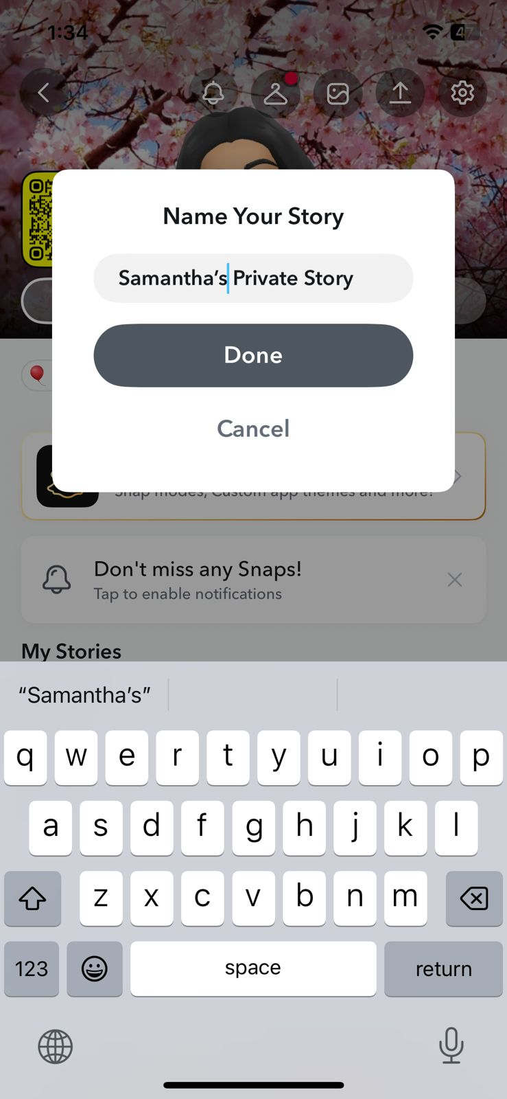 Example of a Snapchat Private Story Option