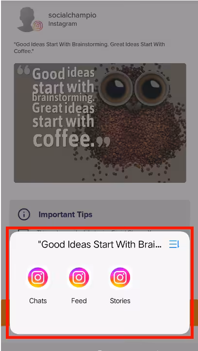 Schedule Instagram Stories Like a Pro in 2026 19 Schedule Instagram Story with social champ step 12
