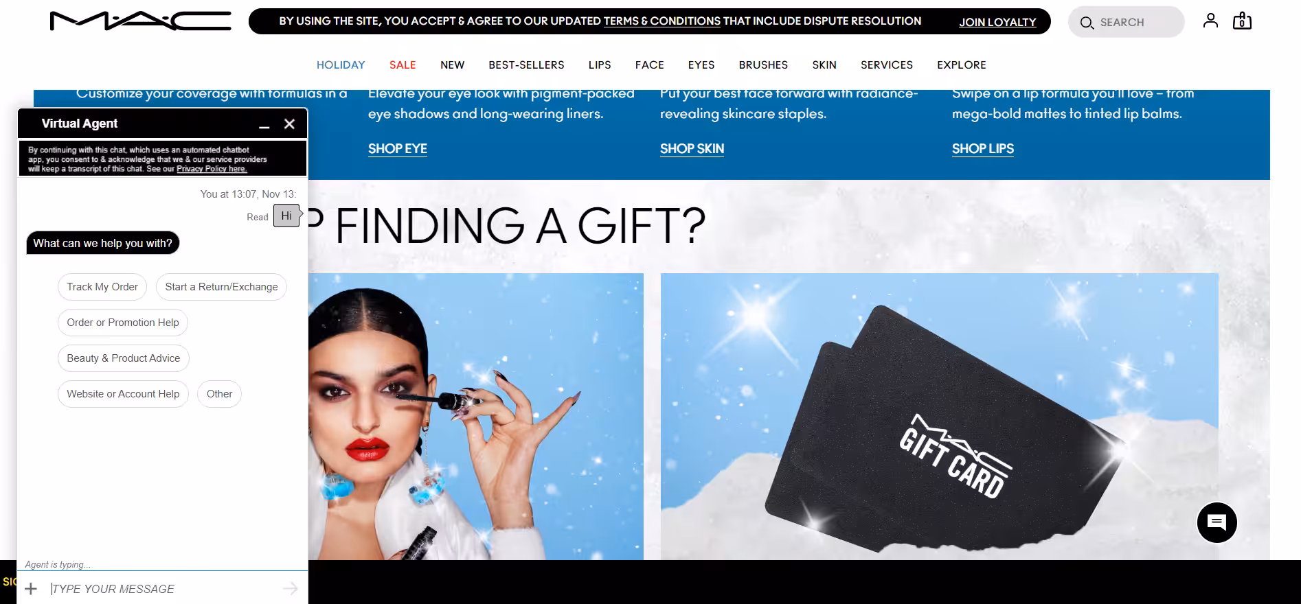 Mac cosmetics - Chatbot support