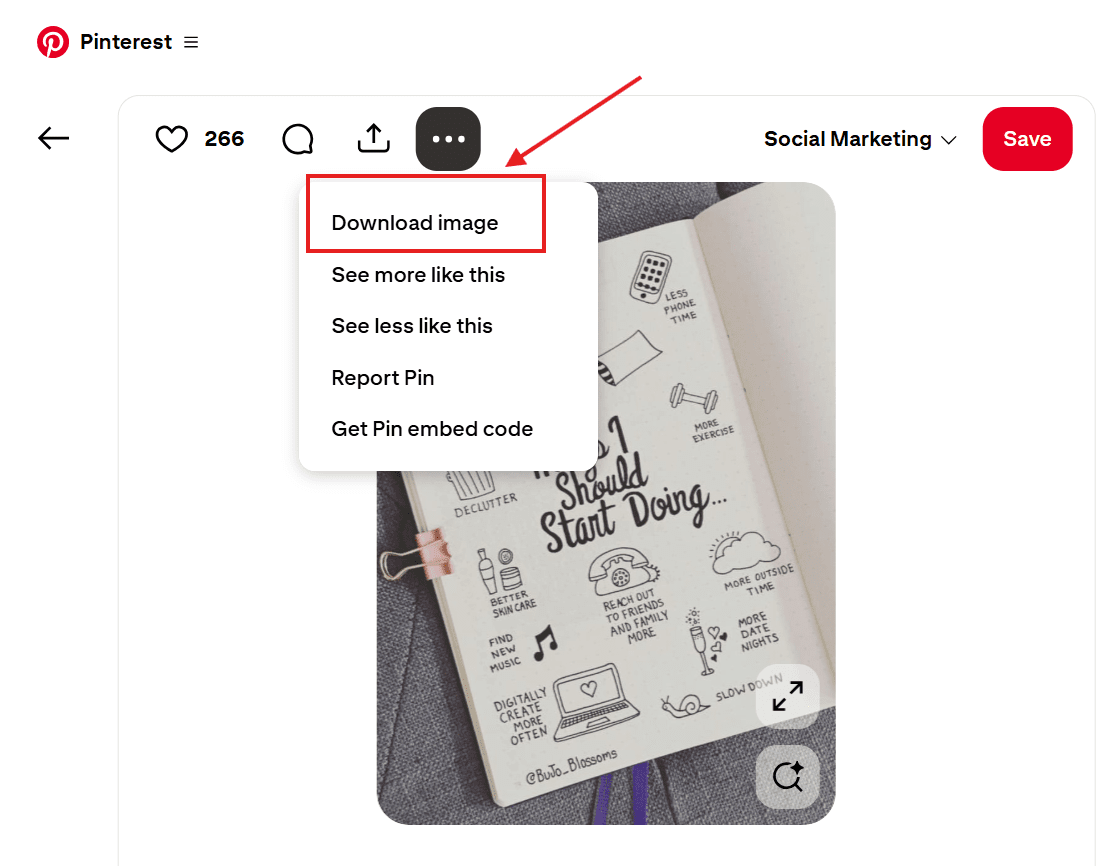 How to Download Pinterest Videos in 2026: A Step-By-Step Guide for Mobile and PC? 17 Click "Download Image"
