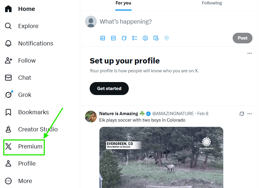 How to Get Verified on Twitter (X) in 2026: Step-by-Step Guide 9 Click on Premium