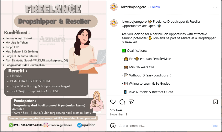 Instagram Post Advertising Dropshipping Opportunity