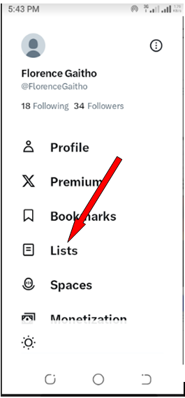 How to Create and Use Twitter Lists in 2026 18 Twitter List on Mobile Step 2