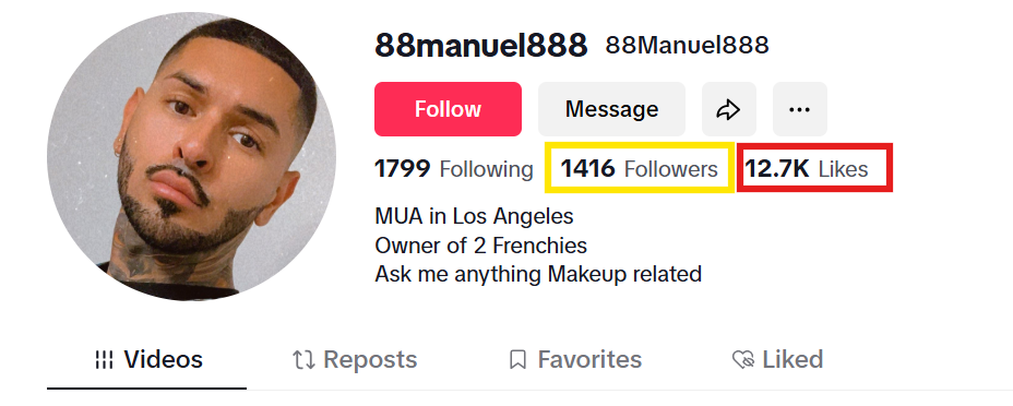 TikTok Profile of an Influencer