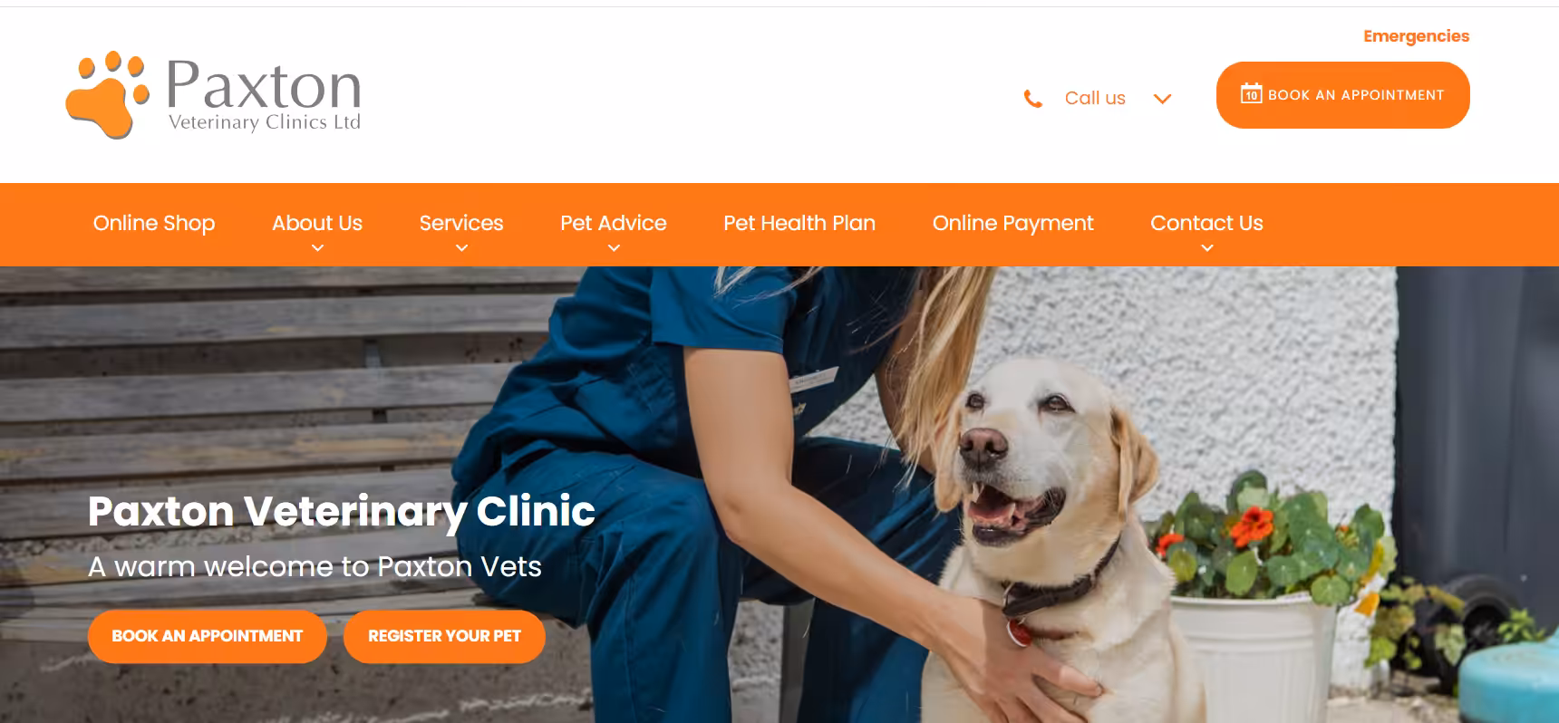 What Is a Niche Market & How to Identify One in 2026 6 Paxton Pet Goods