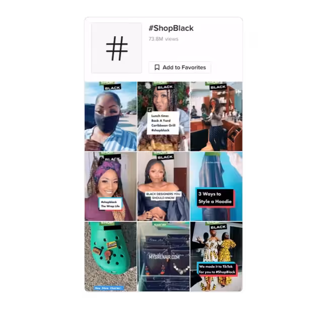 A snapshot of TikTok