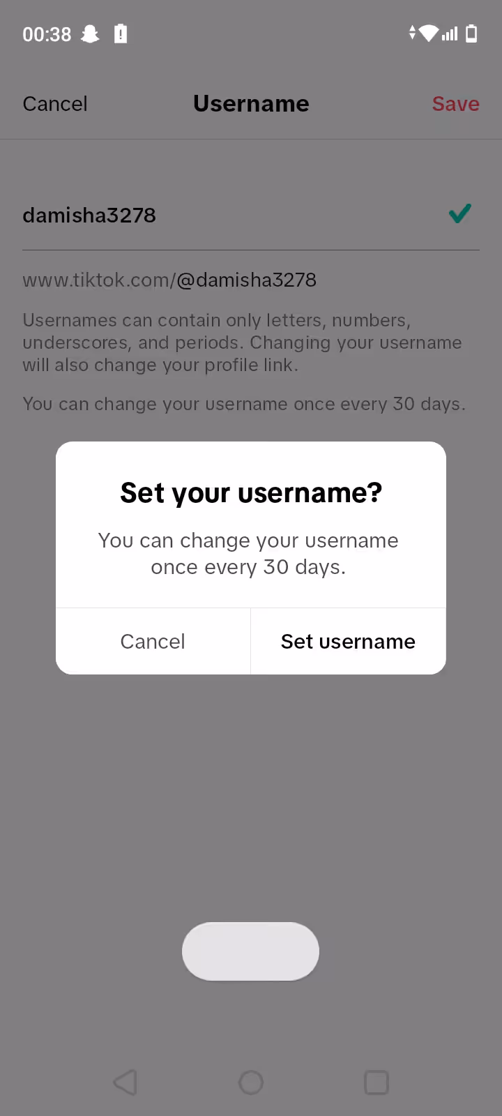 150 Creative TikTok Username Ideas for 2026 30 TikTok Username Ideas