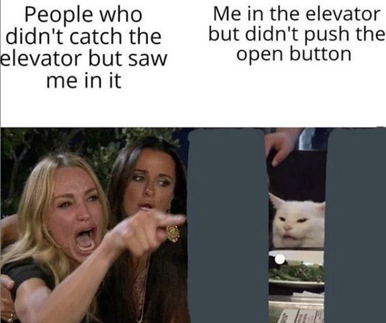 30+ Hilarious Genz Memes That Millennials Are Struggling to Keep Up With in 2026 9 Woman Yelling at a Cat