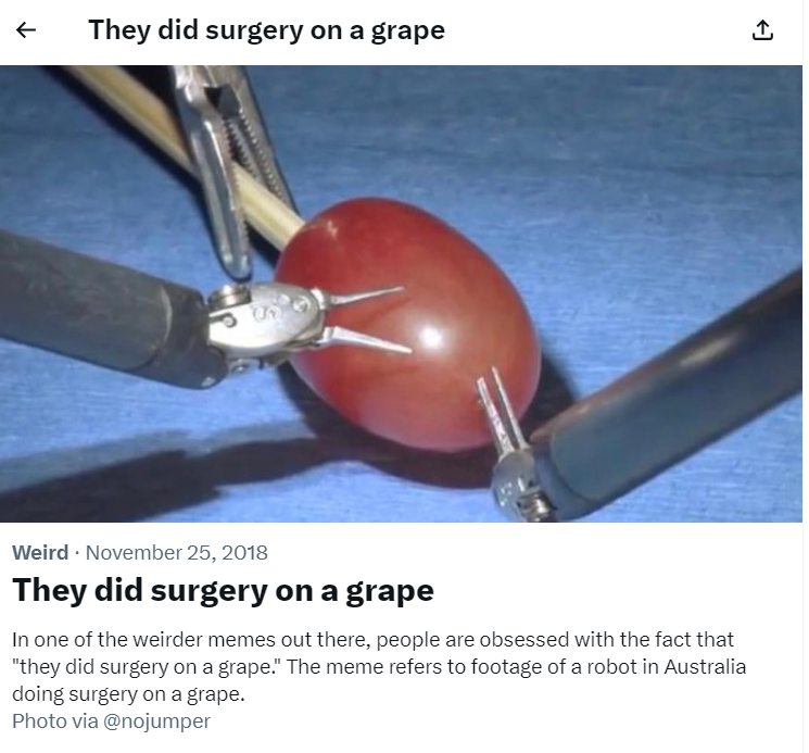 30+ Hilarious Genz Memes That Millennials Are Struggling to Keep Up With in 2026 17 They Did Surgery on a Grape
