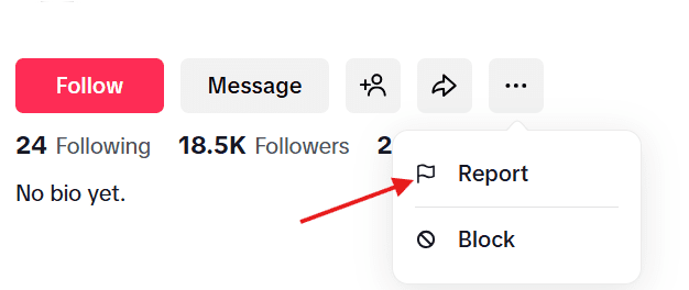 How to Report a TikTok Account in 2026? Complete Safety & Reporting Guide 12 Click on Report