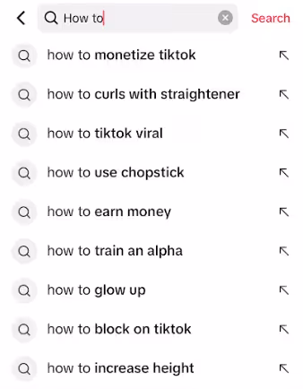 A snapshot of TikTok search engine
