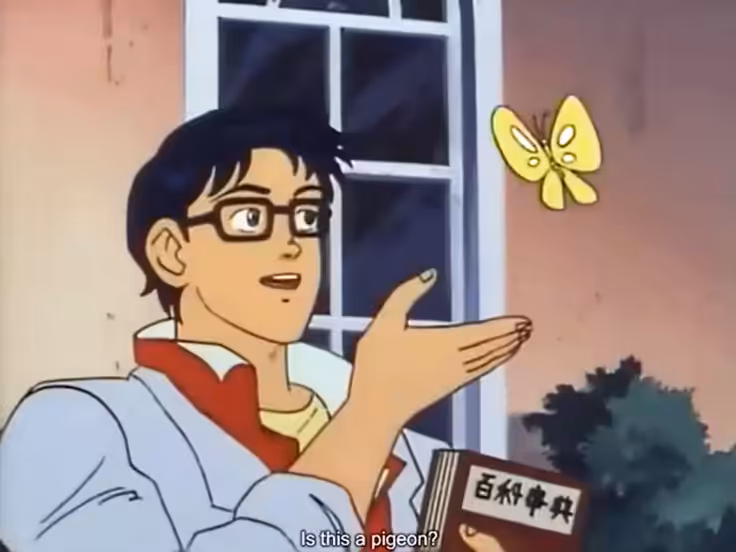 is this a pigeon