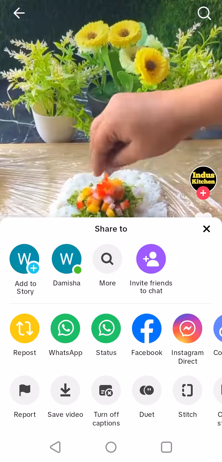 A snapshot of TikTok
