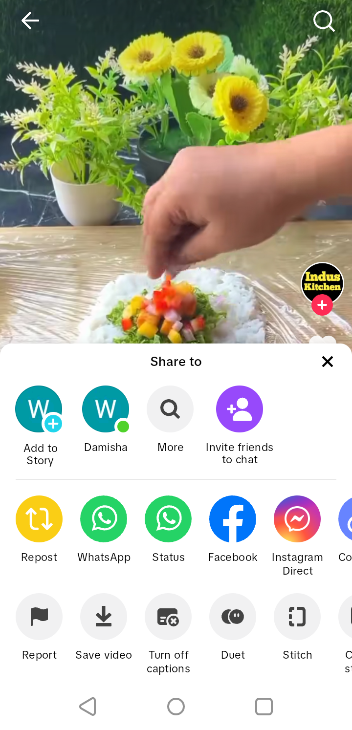 How to Use TikTok as a Search Engine in 2026 8 A snapshot of TikTok