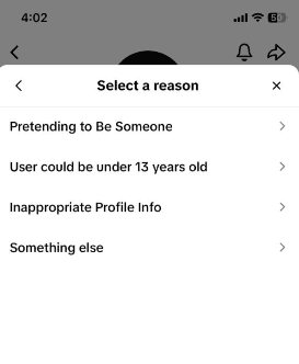 How to Report a TikTok Account in 2026? Complete Safety & Reporting Guide 10 Choose the Reason to Report the Account