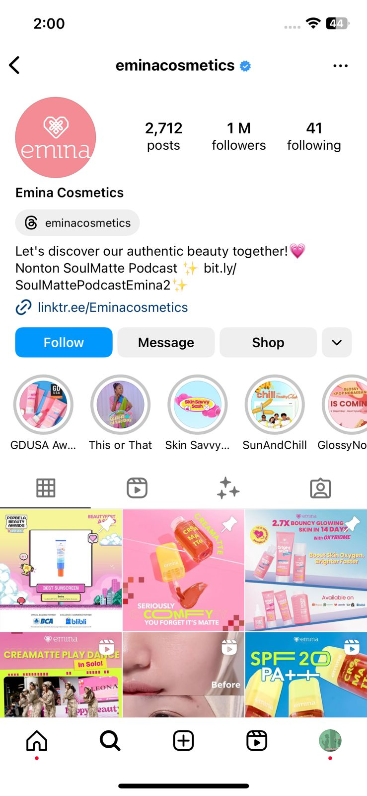 Social Media Definition: A Definitive Guide in 2026 6 A snapshot of an optimized Instagram profile