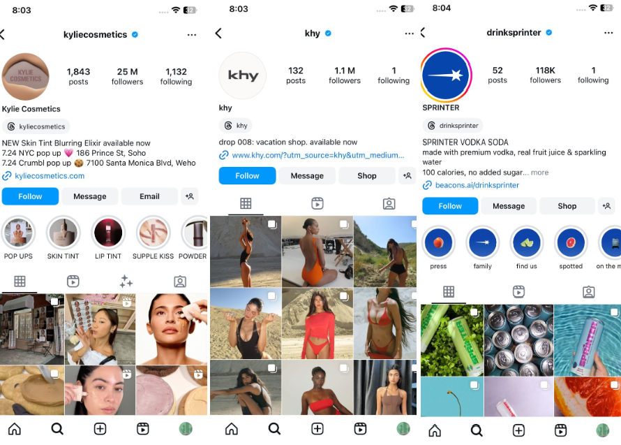 Kylie Jenner's organized Instagram accounts for different products.
