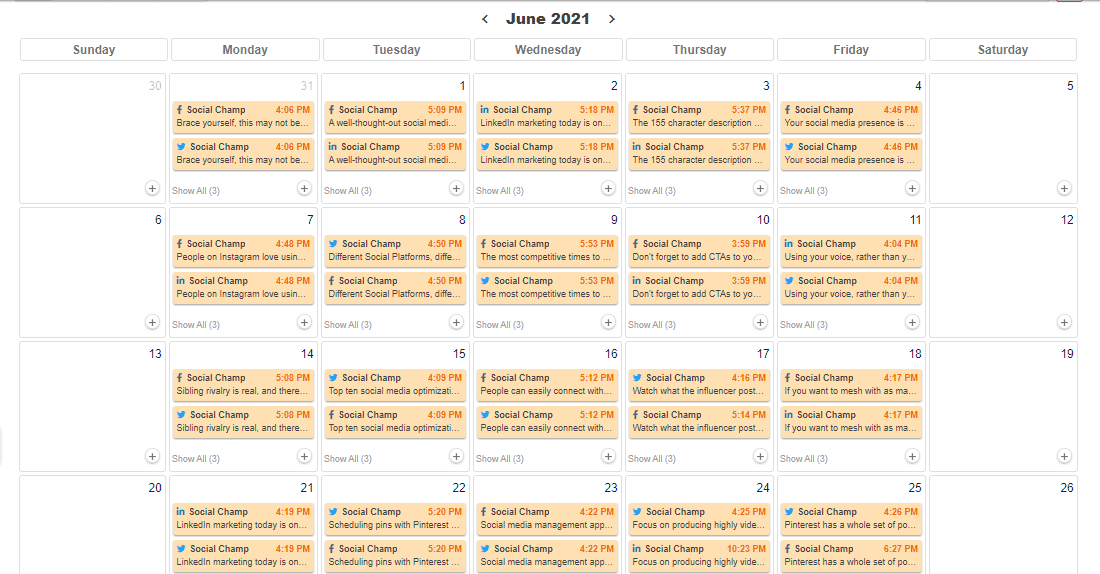 Screenshot of Social Champ's content calendar showing planned posts and content strategy.