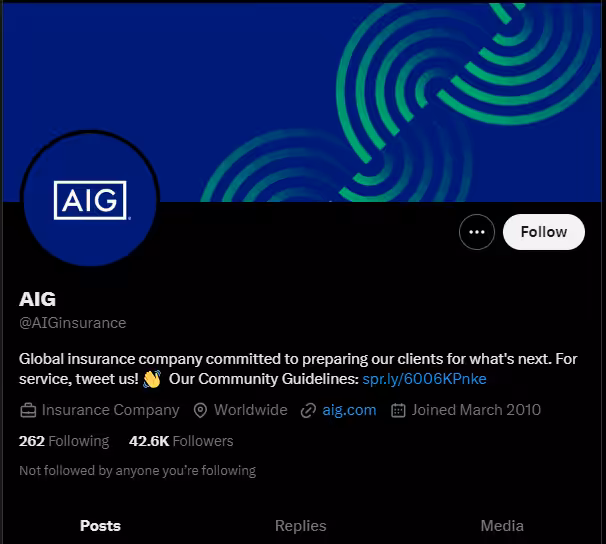 Snapshot of X profile of AIG