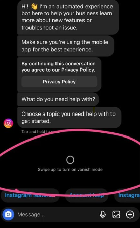Best Guide for Instagram Messages in 2026 7 Snapshot of an Instagram chat with vanish mode activated