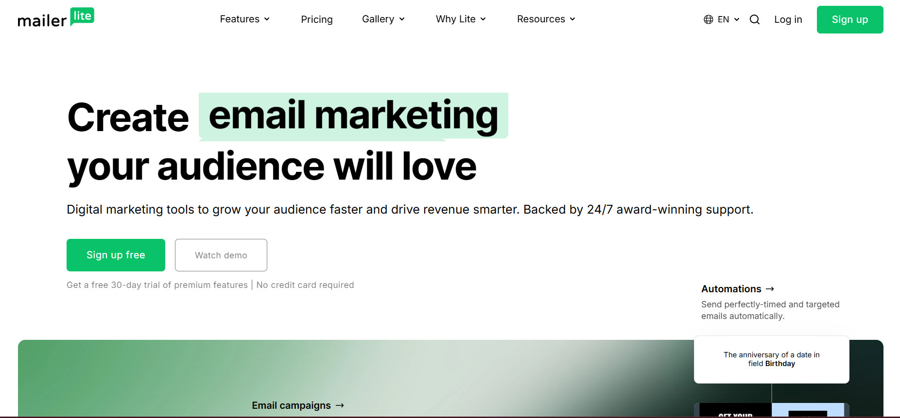 Mailerlite’s Landing Page