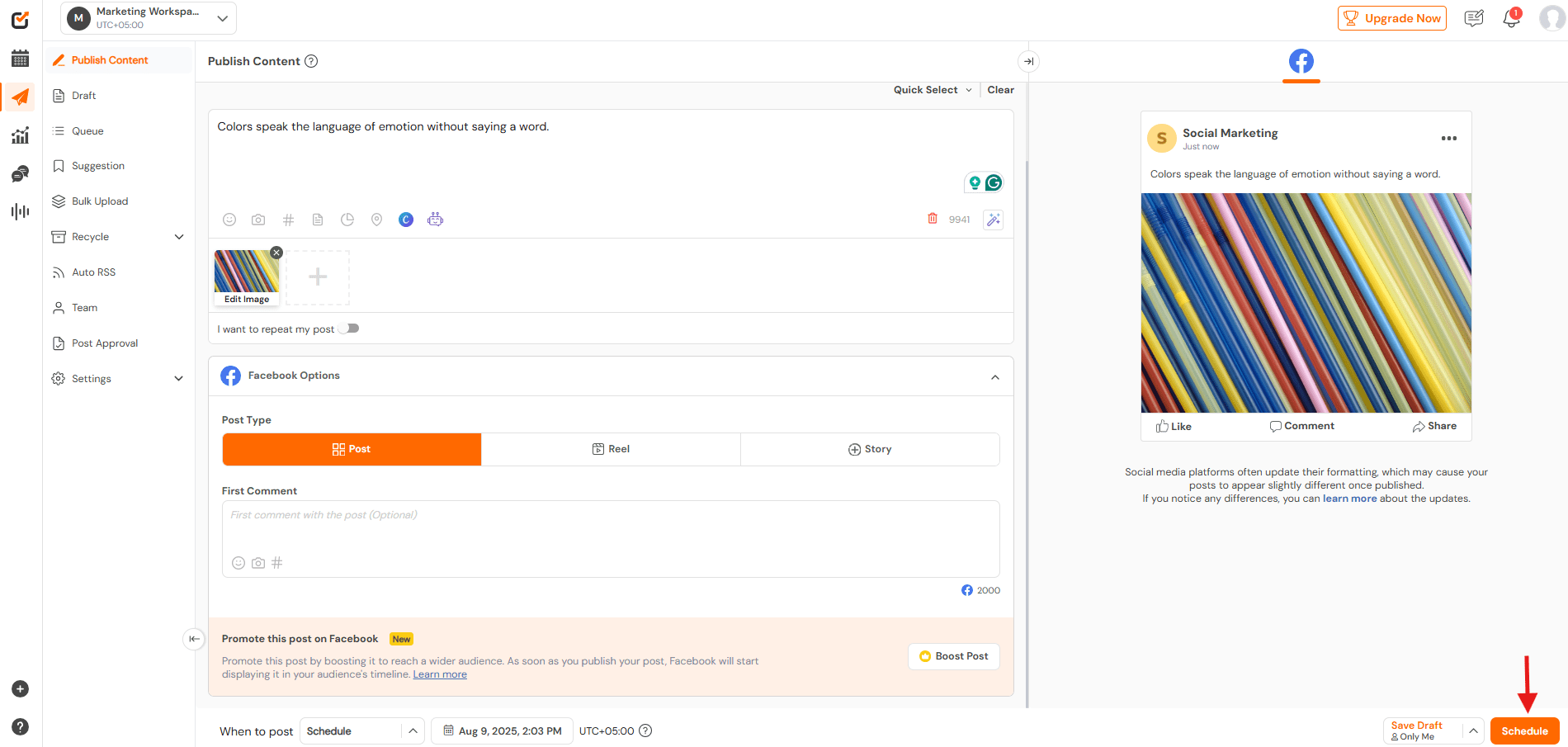Click “Schedule”