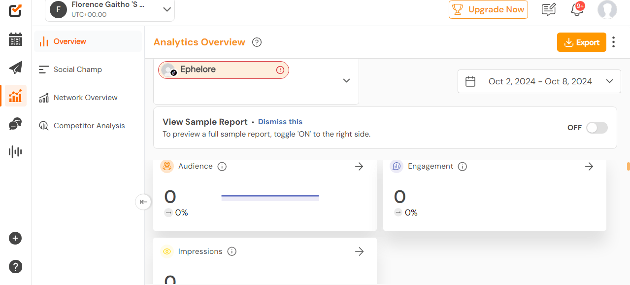 7 Easy Steps for Creating an Effective Facebook Marketing Strategy 16 Social Champ’s Analytics