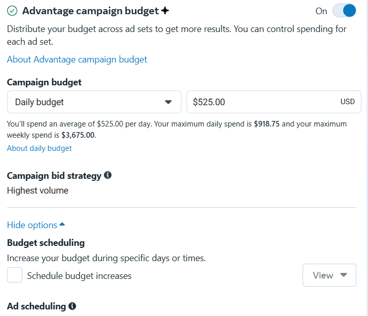 How to Post Ads on Facebook: A Step-by-Step Guide for Success 9 Budget and Schedule Setup Screen.
